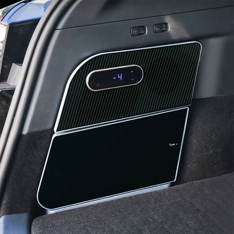 Temai Kyl - Sidofack - Tesla Model Y