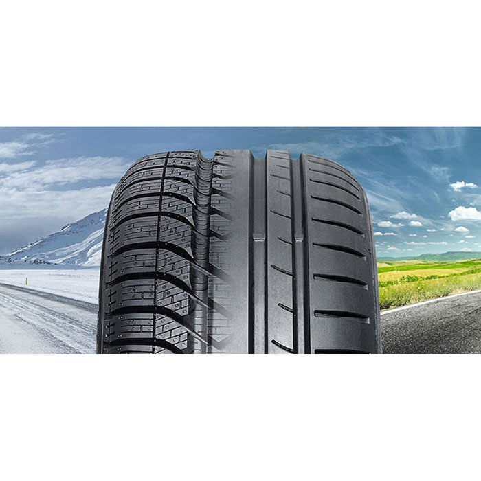 D�ck - Tesla Model Y